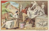 The Stone and Its Use - Marble, French trade card (front)