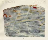Pl. XIX. A. Fine grained gray and variegated marble from Waterfall Bay, Dall Island, Alaska, circa 1920.