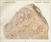 Pl. XVII. A. Finely mottled limestone from northern part of Heceta Island, Alaska, circa 1920. 