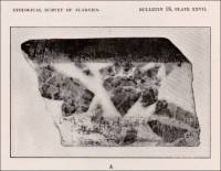 In the crystalline marble deposits the marble beds are in many places interstratified with dolomite or contain lenses of dolomite, similar to the chief marble deposits of Vermont. (Alabama, circa 1916)