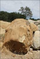Sandstone boulders along Hwy. 128 in Yolo County.