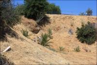 Site of old Sandstone Quarry once located along Hospital Rd., Benicia, CA