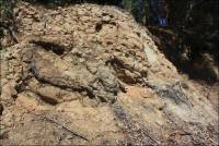 Site of old Sandstone Quarry once located along Hospital Rd., Benicia, CA