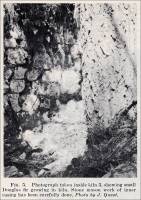 Photograph taken inside kiln 3