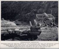 Permanente Limestone - Limestone starts the mile-long journey