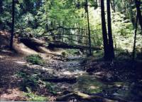 Fall Creek Walk Photo #1