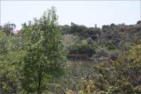 View of buildings behind the San Diego Mission from across the canyon