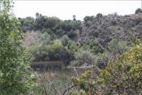 View of buildings behind the San Diego Mission from across the canyon