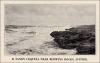 Sandy Coquina near Blowing Rocks, Jupiter, Florida (circa 1929)