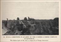 Ocala limestone in quarry of the Cummer Lumber Company at Kendrick, Florida (circa 1929)