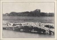 Limestone exposure showing a mild fold in the strata, at Ft. Thompson, Lee County, Florida (circa 1914)
