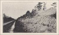 Exposures of the Chattahoochee formation in cut of the Atlantic Coast Line Railroad near River Junction, Florida (circa 1914)