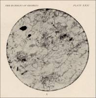 Micrograph of Georgia Marble, No. 1 (circa 1905)