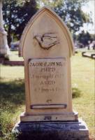 The Holmes Cemetery Stone - Photograph 1