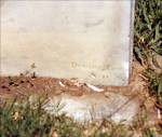 The Day Cemetery Stone - Photograph 2