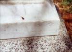 The Conner Cemetery Stone - Photograph 2