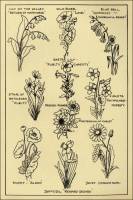 Flower Designs from “Monumental Design: The Language of The Flowers” (1927)