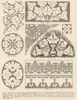 Ivy patterns/forms, from The Manual of Monumental Lettering, early 1900s