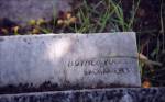 The Leonice Longmire Cemetery Stone - Photo #2