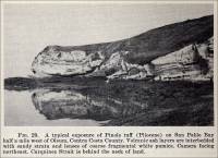 A typical exposure of Pinole tuff (Pliocene) on San Pablo Bay