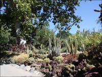 The Huntington Desert Garden - Photo #2