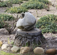 Rock in garden at the Santa Barbara Mission garden, Santa Barbara, CA