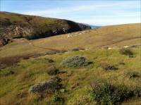Interior of Santa Cruz Island north of Scorpion Bay