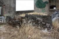Photo of Standard Portland Cement Company / Corporation Ruins