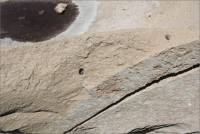 Closeup of the Inyo County Courthouse, Independence, CA