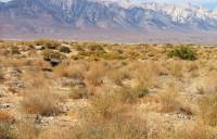 View of Swansea Site