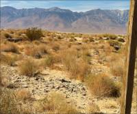 Area near the Swansea-Owens Lake Silver Led Furnace Monument, Inyo Co., CA