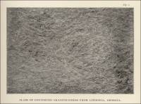 Slab of Contorted Granite-Gneiss from Lithonia, Georgia (circa 1902)