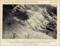 Connasauga limestone. Portions of quarry of the Graysville Mining and Manufacturing Company immediately west of Graysville, Catoosa County, Georgia (circa 248)