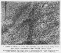 Stony Creek, Connecticut - the Norcross Quarry - Polished slab of pegmatitic biotite granite gneiss