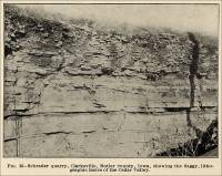 Schrader Quarry, Clarksville, Butler County, Iowa, showing the flaggy, lithographic facies of the Cedar Valley. 