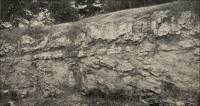 Local unconformity in Verdi beds, near Showman station, Keokuk County, Iowa. 