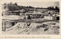 Plate V. B. View looking west at old (west) quarry at Phenix, Green County, Missouri (1941)