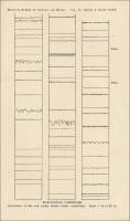 Burlington Limestone. Occurrence of fine and coarse Suture Joints (stylolites). Scale 1 in. = 1.25 ft.