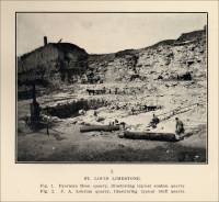 Fig. 2. J. A. Lohrum Quarry (St. Louis Limestone)